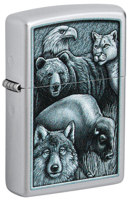 46237 - Animals